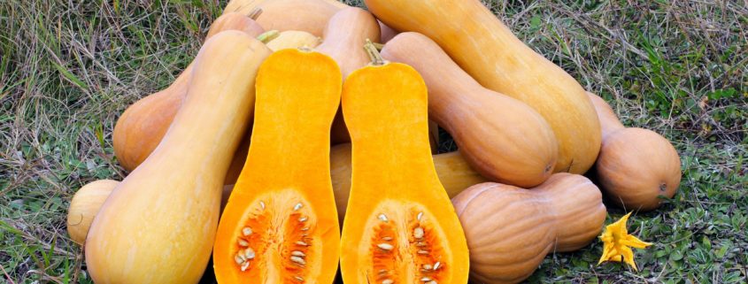 Southwestern Roasted Butternut Squash