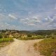 Winery in Tuscany