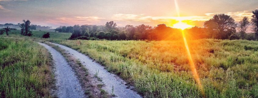 Busch Wildlife Sunset